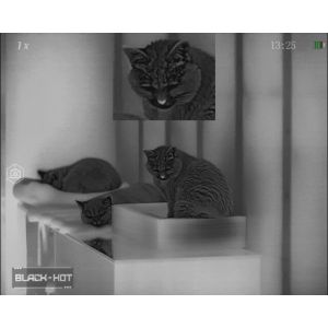 RIX Stride ST6 640 Helmet Mount /Handheld Thermal Monocular