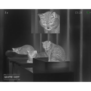 RIX Stride ST6 640 Helmet Mount /Handheld Thermal Monocular