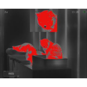 RIX Stride ST6 640 Helmet Mount /Handheld Thermal Monocular