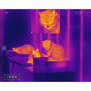 RIX Stride ST6 640 Helmet Mount /Handheld Thermal Monocular