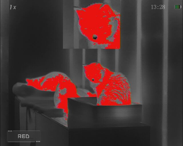 RIX Stride ST6 640 Helmet Mount /Handheld Thermal Monocular