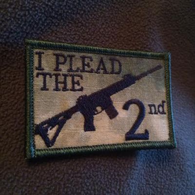 Plead the 2nd Patch
